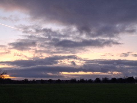 The Stray-哈罗盖特必去景点