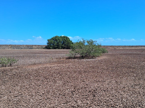Sarigua National Park-契特雷必去景点