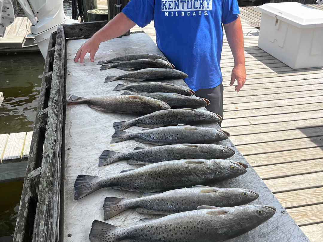 Underdog Fishing Charters-Dauphin Island必去景点