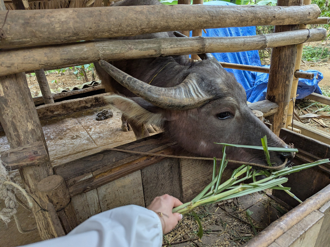 Pu Luong Ancient Stilt House-清化必去景点