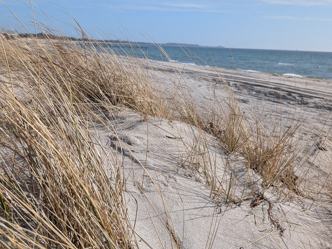 舒岑霍夫哈芬酒店主图