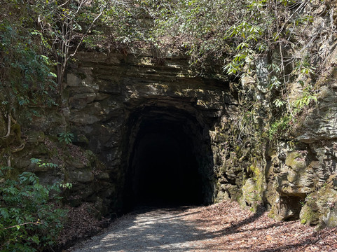 Stumphouse Mountain Tunnel-Walhalla必去景点
