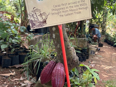 Palawan Butterfly Ecological Garden and Tribal Village-公主港必去景点