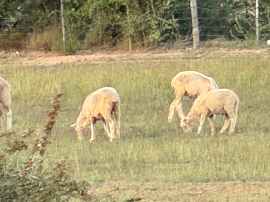 GS Adventures Motorcycle Tours-约翰内斯堡必去景点