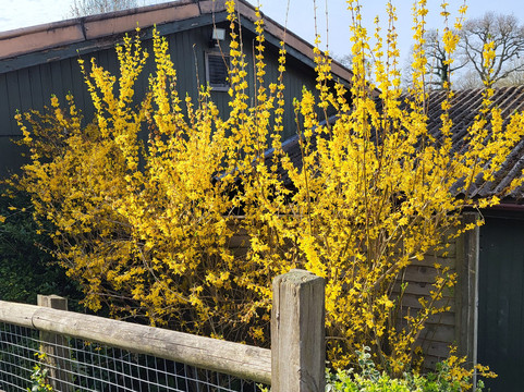 Marwell Zoo-温彻斯特必去景点