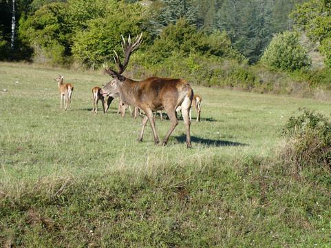 Borgo di Villalago-Villalago必去景点