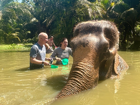 Krabi Elephant Sanctuary-甲米必去景点