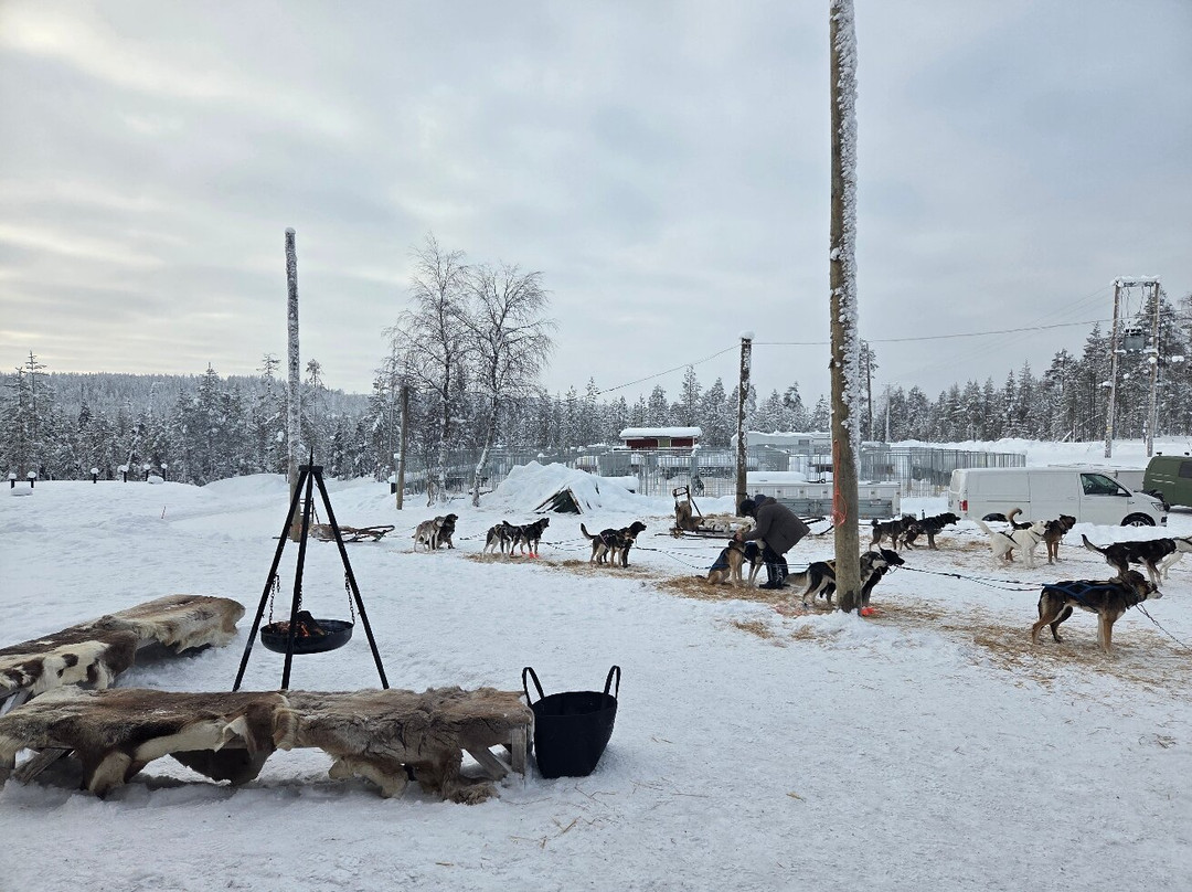 哈士奇雪橇之旅-罗瓦涅米必去景点