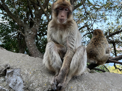 Gibraltar Point National Nature Reserve-斯凯格内斯必去景点