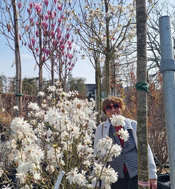 Lakeland Gardens-温德米尔必去景点