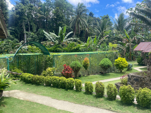 Siquijor Butterfly Sanctuary-锡基霍尔岛必去景点