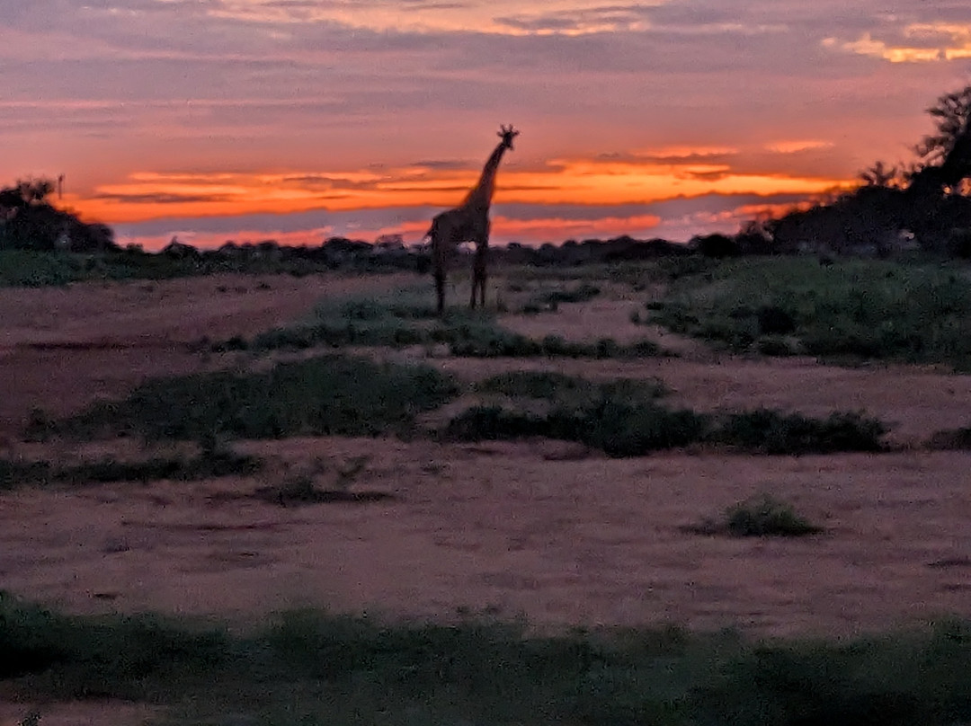 Discovery Kenya con Fragola-瓦塔木必去景点