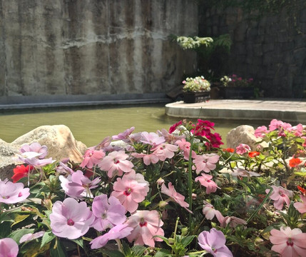 Boa Vista Palace-坎普斯－杜若尔当必去景点