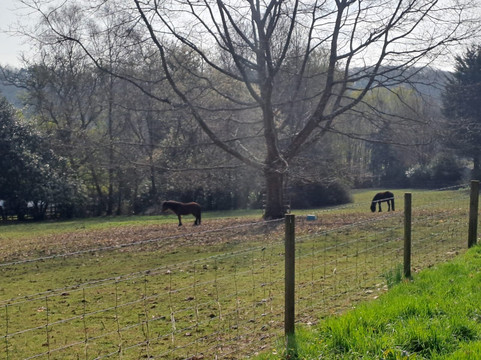 Wilderfox-Chudleigh必去景点