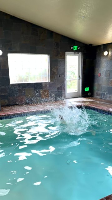 图拉丁-南奥斯威戈湖舒适套房酒店-泳池