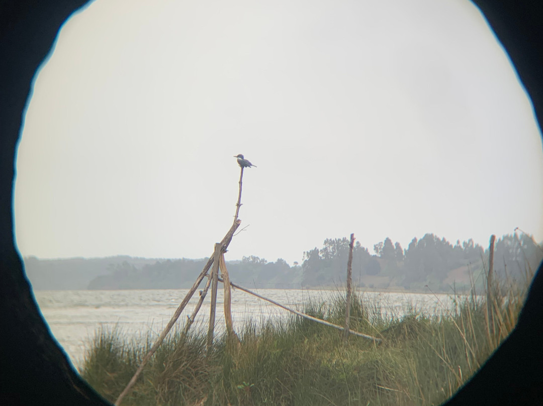 Eco-rutero-Puerto Saavedra必去景点