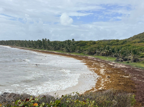 Anse Grosse Roche-Le Marin必去景点