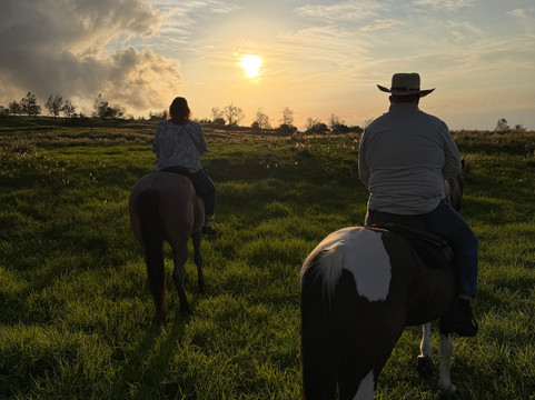 鲁达罗大农场-威可洛亚必去景点