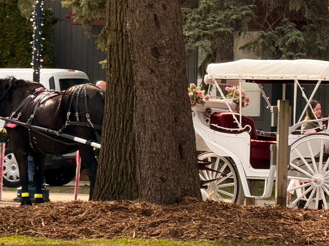 Frankenmuth River Place Shops-弗兰肯默斯必去景点