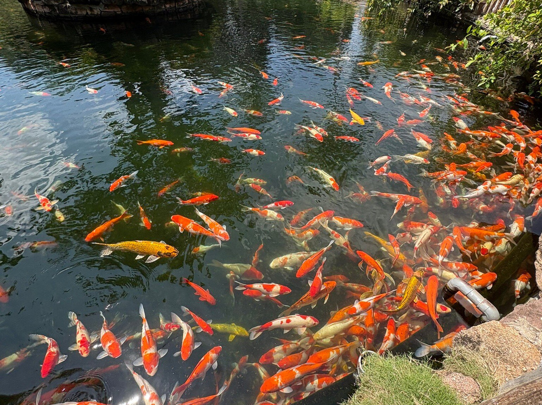 Hon Thom Cable Car-An Thoi必去景点