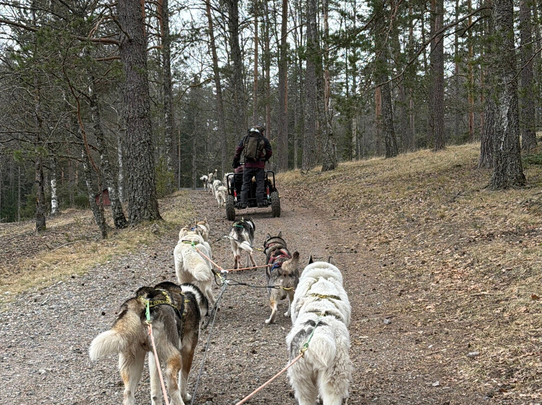 Arctic Expedition-埃斯波必去景点