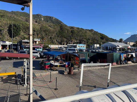 Seal Island-西开普必去景点