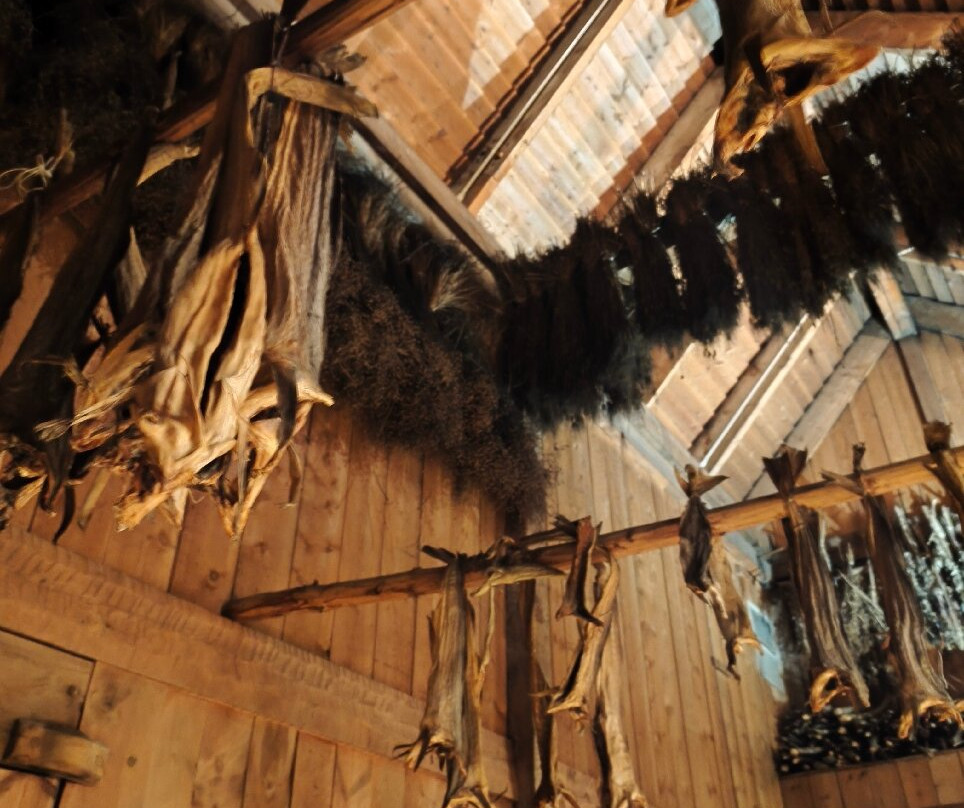 Lofotr Viking Museum-Bostad必去景点