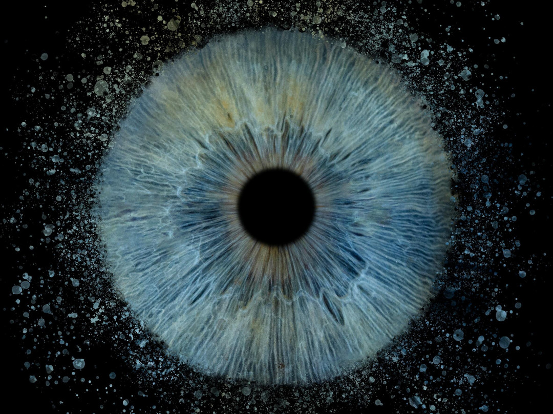 Iris Galerie Maastricht-马斯特里赫特必去景点