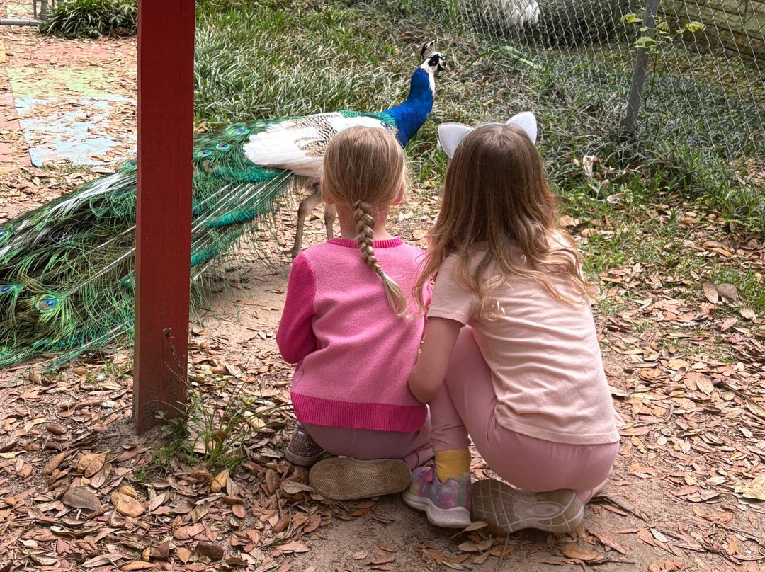 Uncle Sandy's Macaw Bird Park-彭萨科拉必去景点