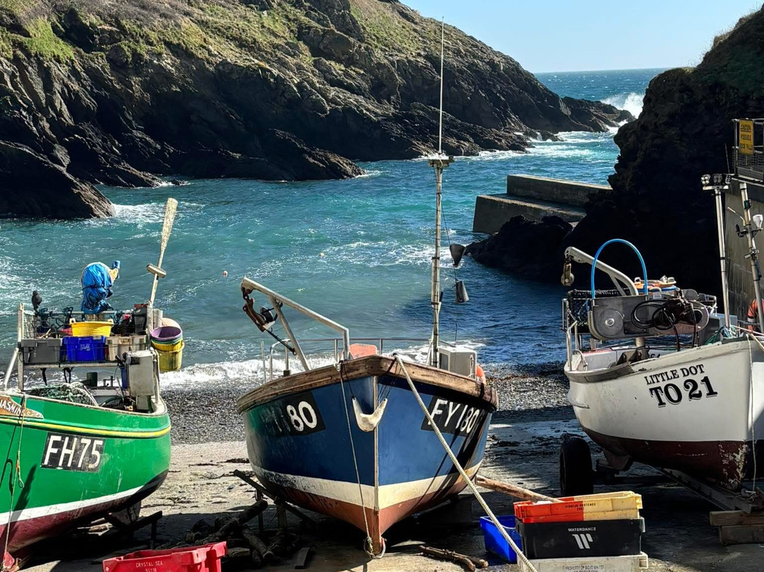 Truro District餐馆和美食-The Ship Inn Portloe