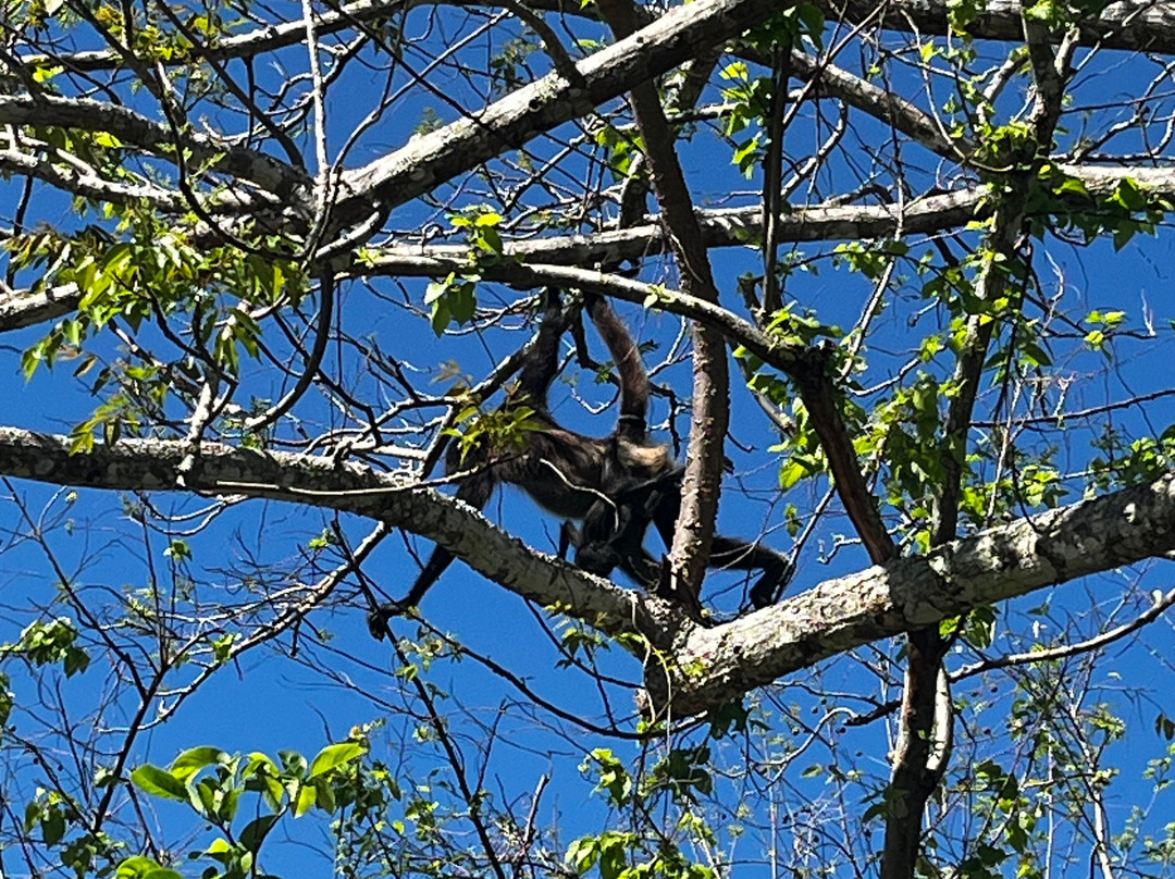 Santi Tour-普拉亚德尔卡曼必去景点