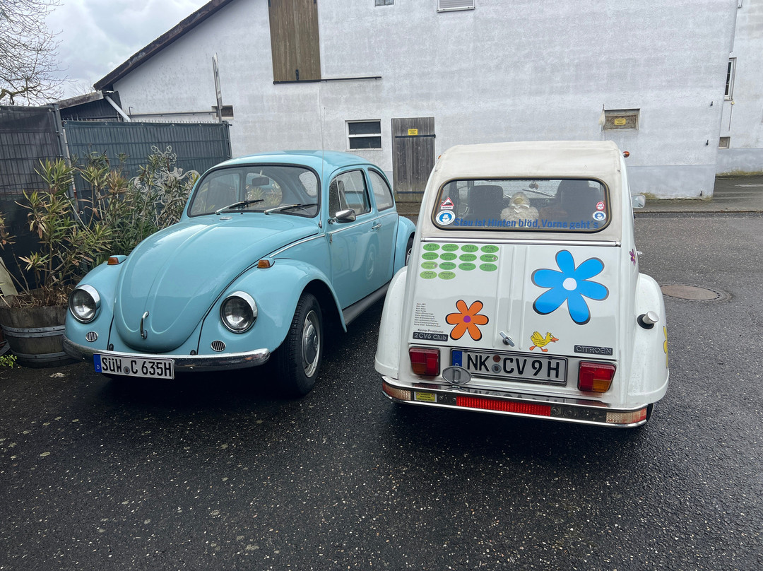 弗里特兹瓦特红酒酒店主图