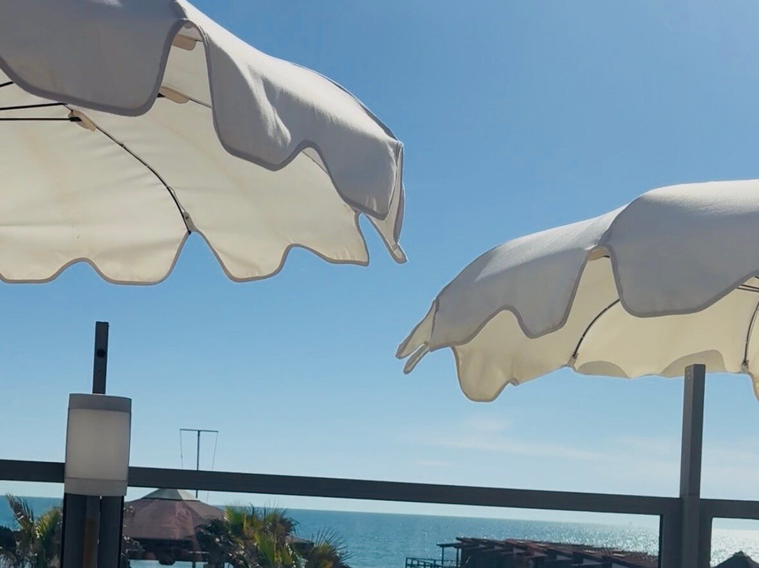 Il Venezia-Lido di Ostia必去景点