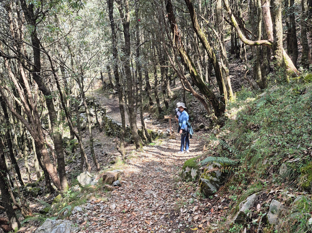 Jabarkhet Nature Reserve-马苏里必去景点
