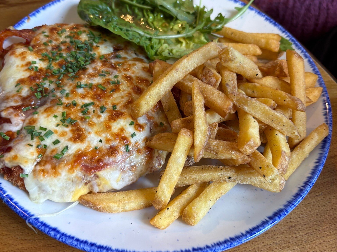 猫头鹰 - 汉布尔顿马斯顿旅馆主图