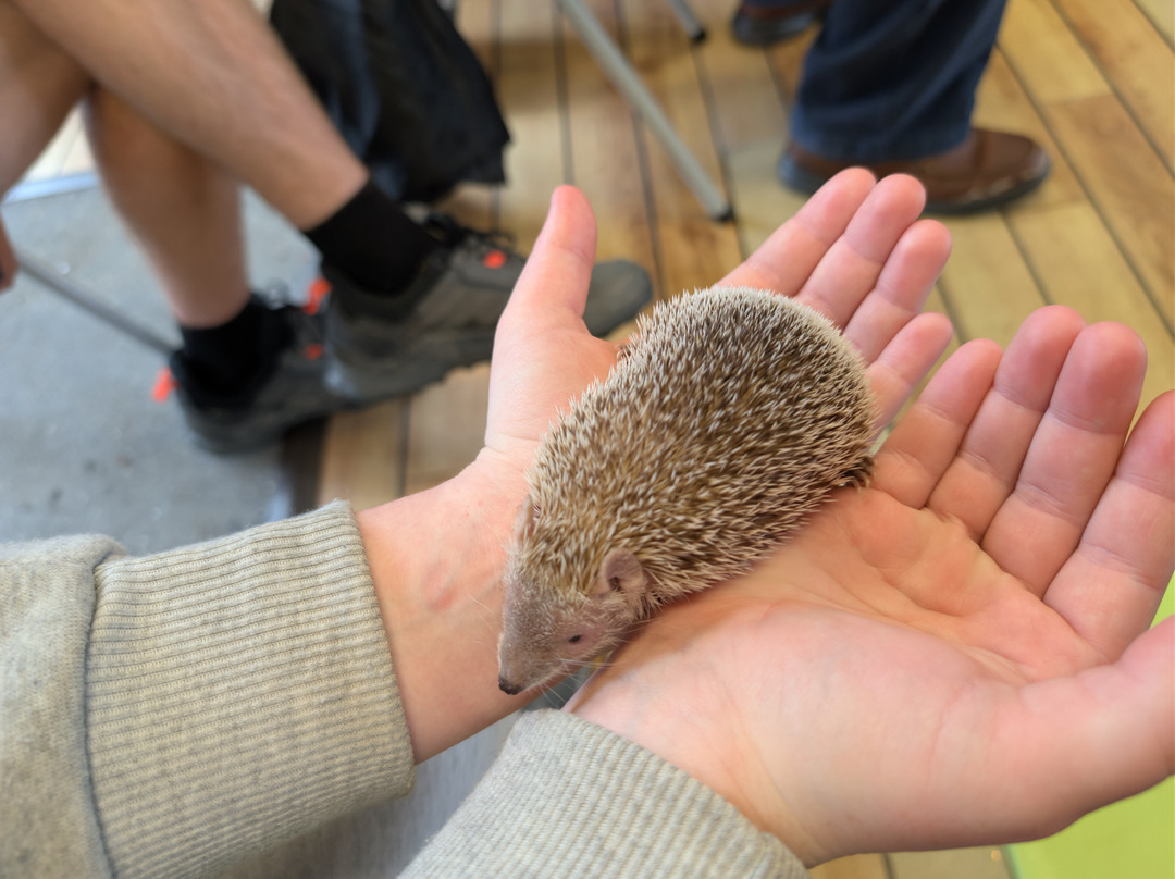 Really Wild Planet-比迪福德必去景点