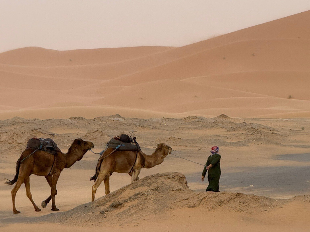 Morocco Official Tours-卡萨布兰卡必去景点