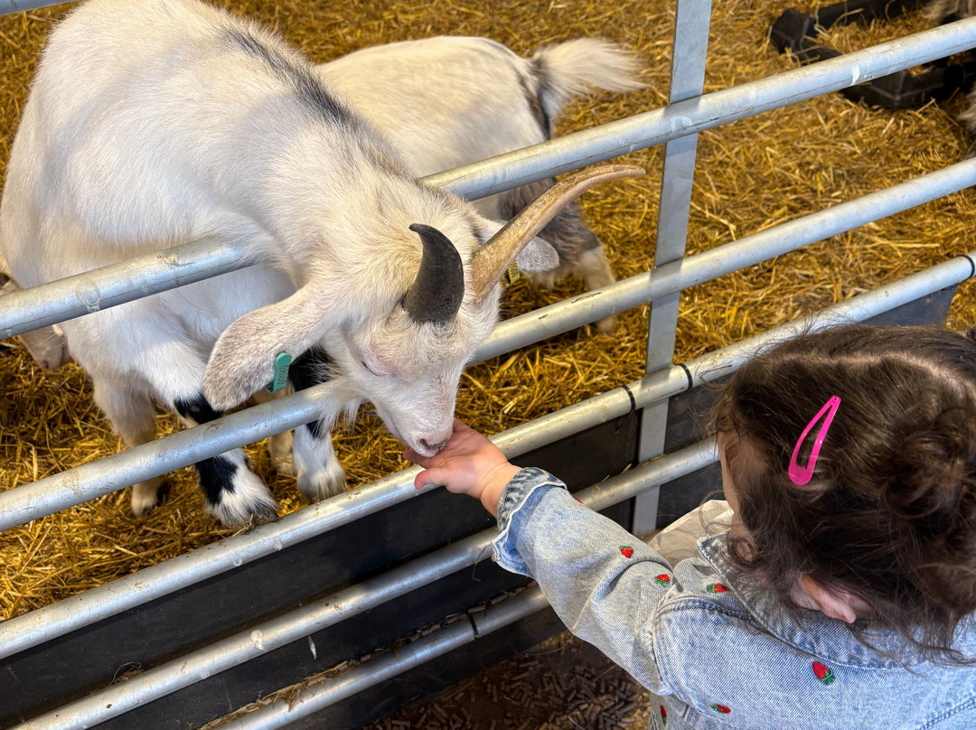 Thrift Farm-Whaddon必去景点