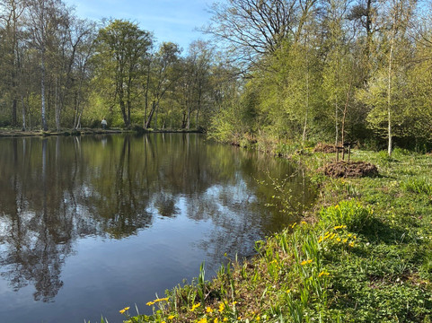 Jac P Thijssepark-阿姆斯特尔芬必去景点