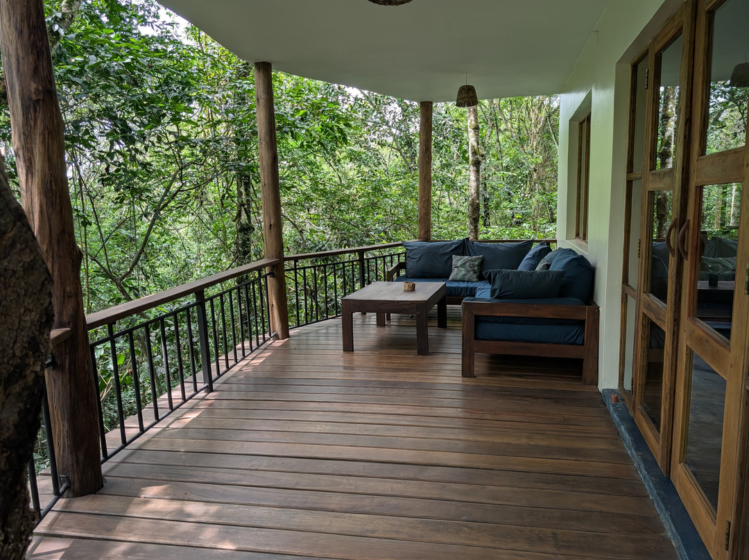 Turaco Treetops