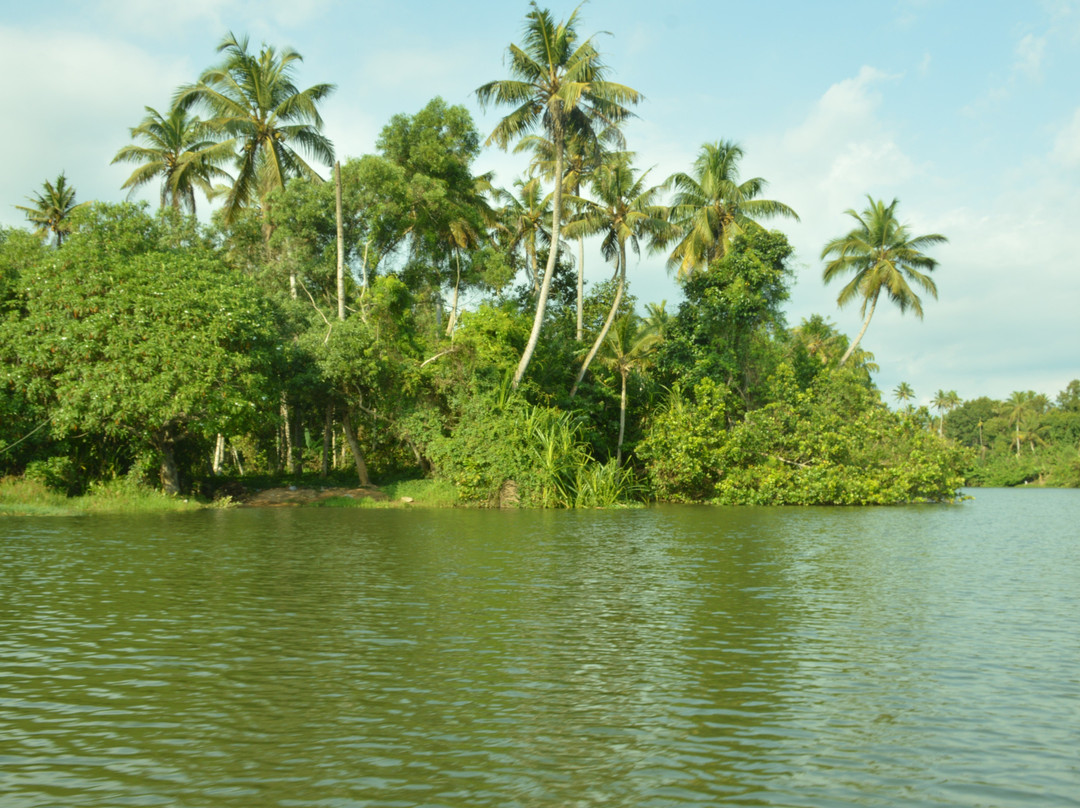 Poovar Backwater Cruise-Poovar必去景点