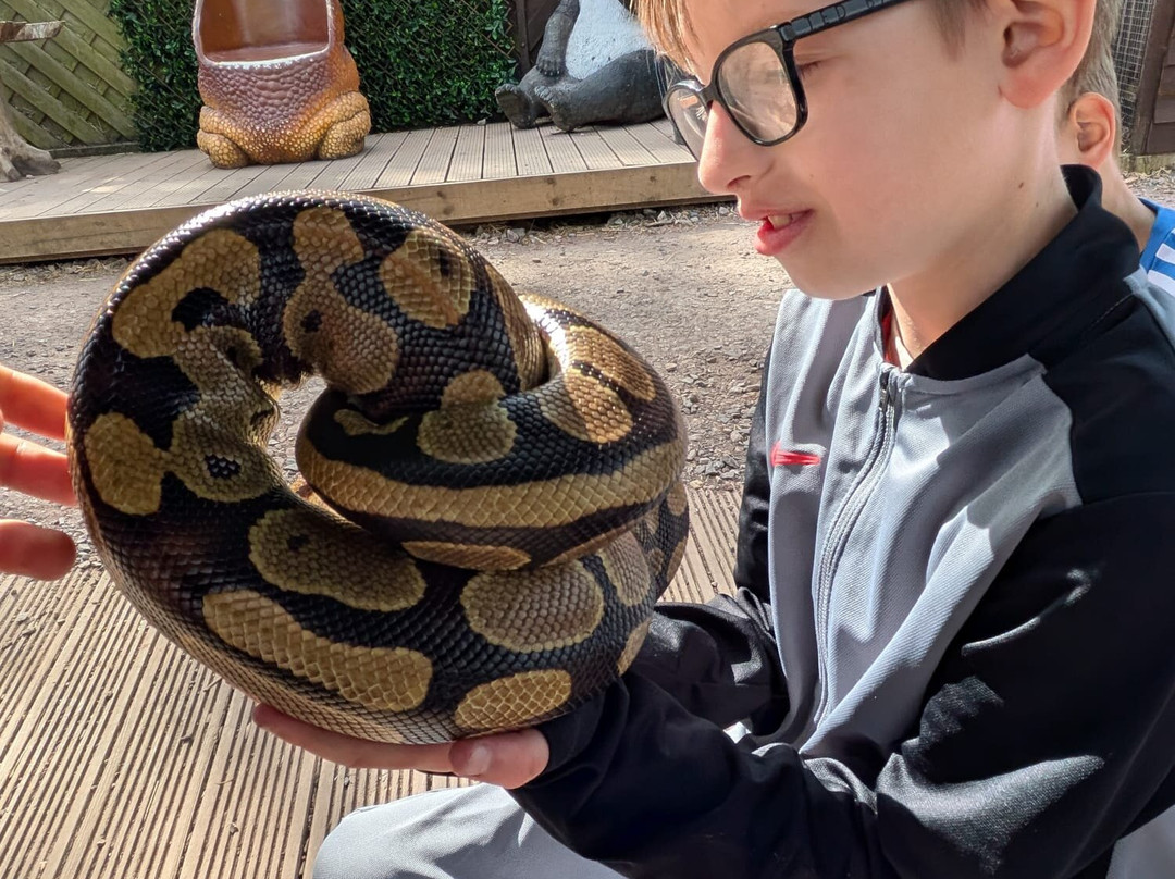 Promenade Park Petting Zoo-Maldon必去景点