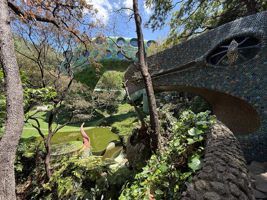 The Traveling Beetle-墨西哥城必去景点