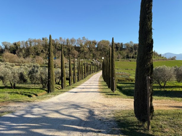 马瑟尼宫殿度假农庄酒店-旅行者