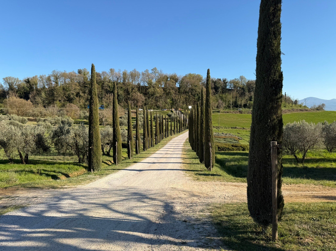马瑟尼宫殿度假农庄酒店主图
