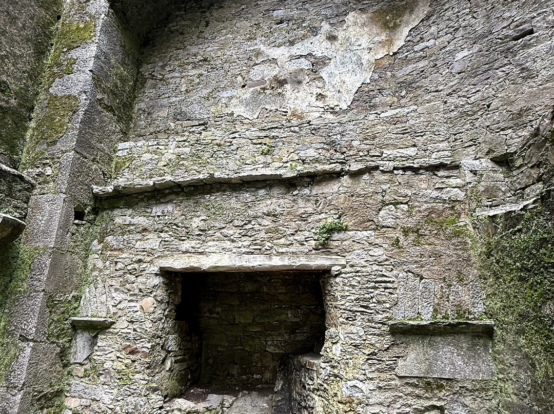 布拉尼城堡及花园-Blarney必去景点