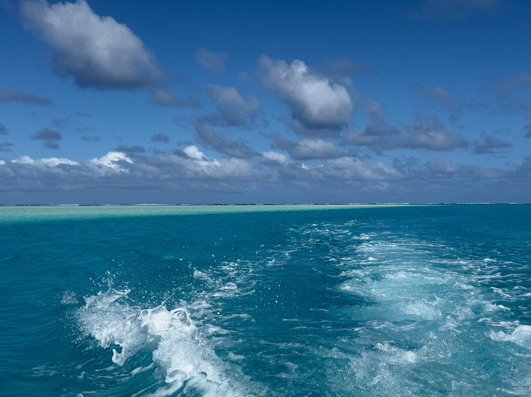 Silent One Lagoon Charters-艾图塔基必去景点