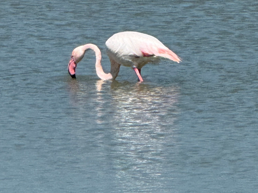 费利西亚别墅酒店主图