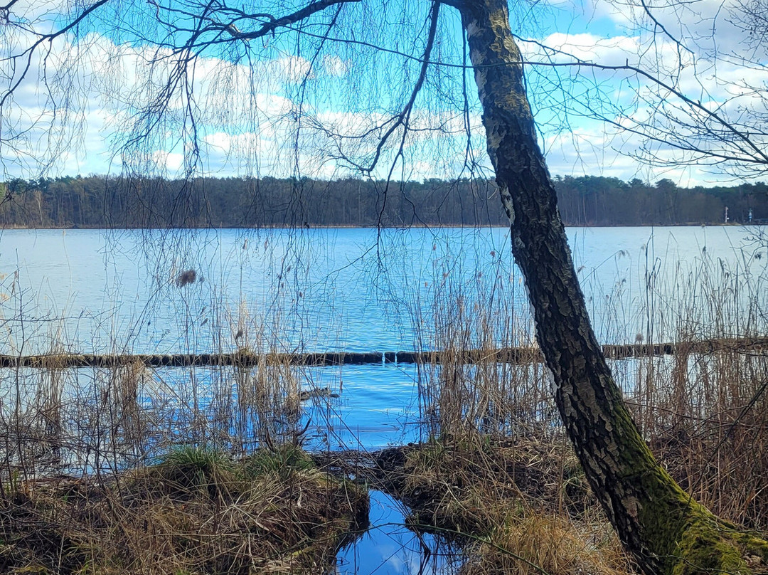 Seddinsee-Schoneiche必去景点