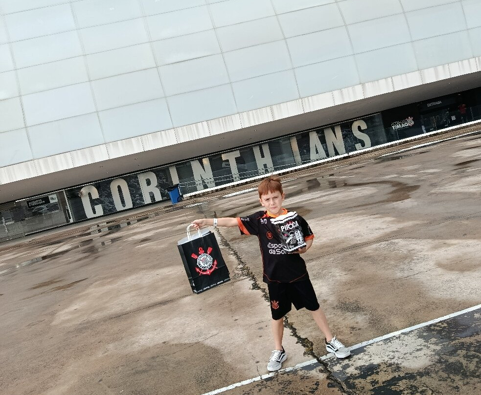 Arena Corinthians - Neo Química Arena-圣保罗必去景点
